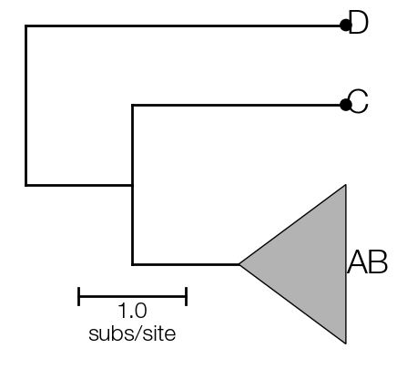 basic-tree-clade