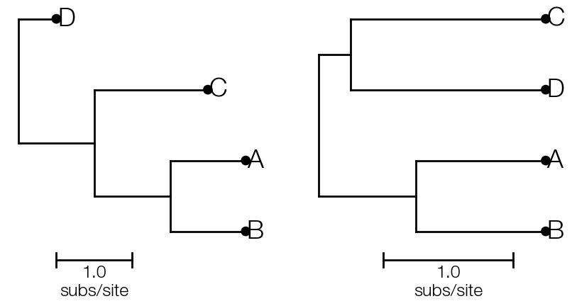 basic-tree-reroot