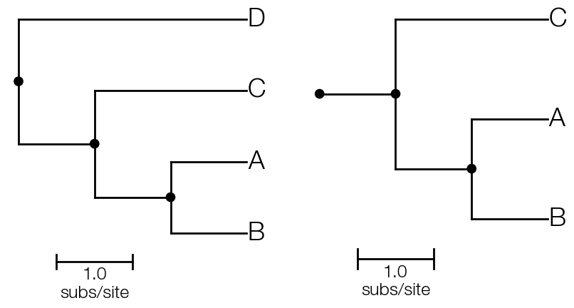 basic-tree-subtree