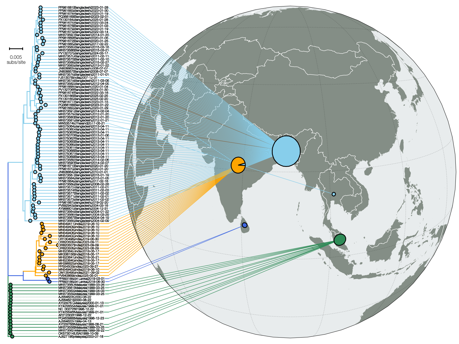 nextstrain-nipah-map-piecharts