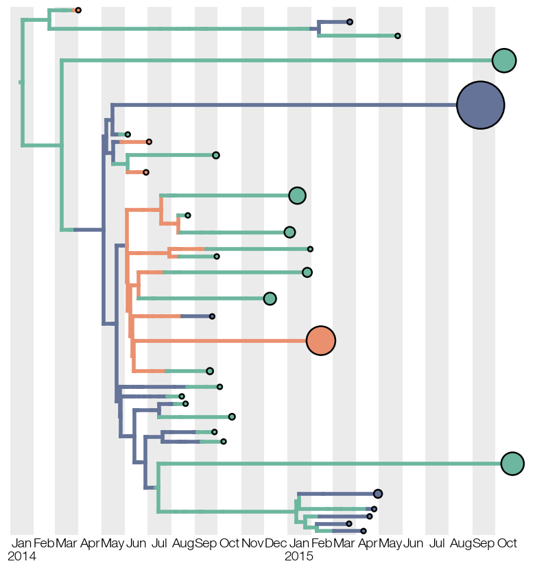 state-collapsed-tree-earliest-adjust