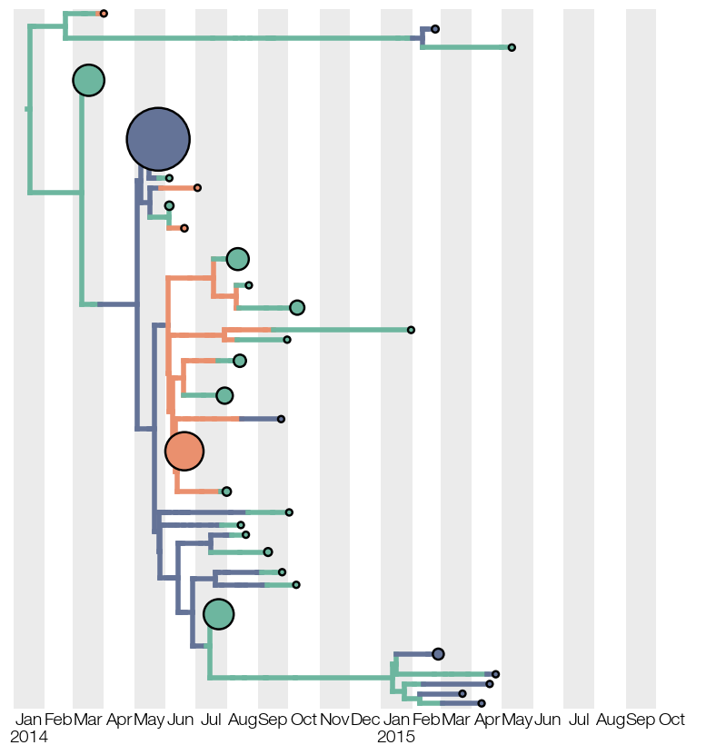 state-collapsed-tree-earliest