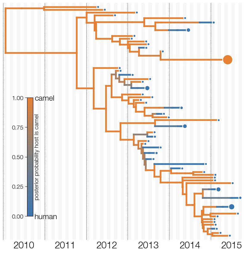 state-collapsed-tree-earliest-adjust