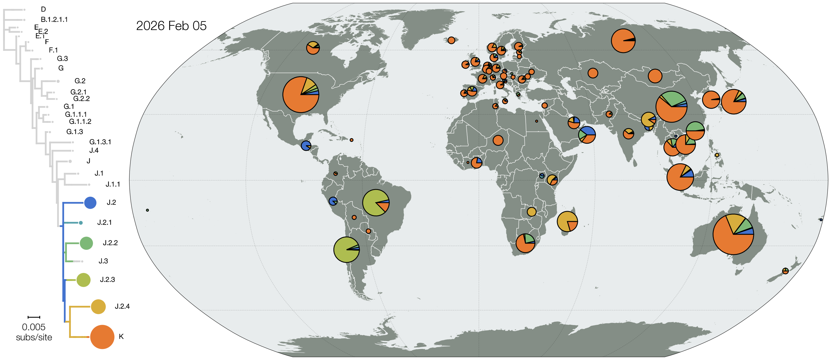 nextstrain-flu-lineage-map
