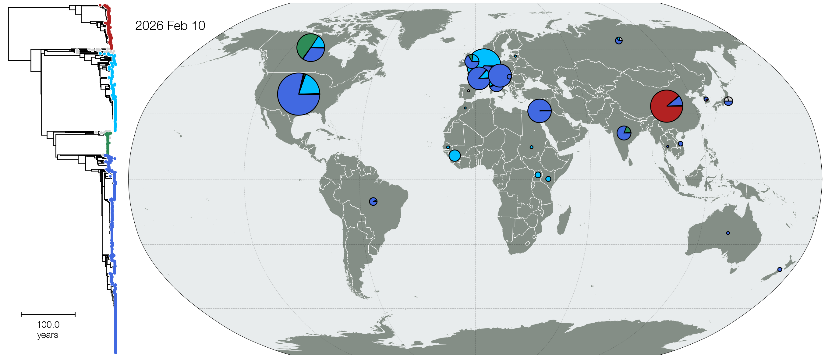 nextstrain-measles-map-piecharts
