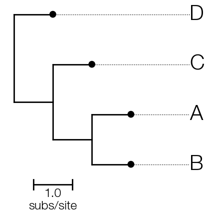 basic-tree-aligned-tips