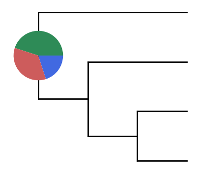 basic-tree-piechart