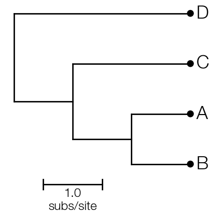 basic-tree