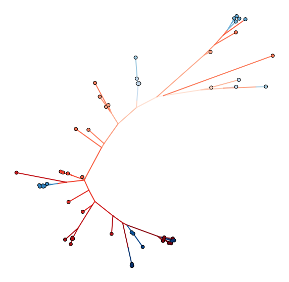 Unrooted phylogeny and trait mapping